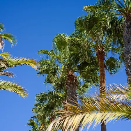 Casa Tindaya - 3 Min Walk To The Dom wakacyjny *