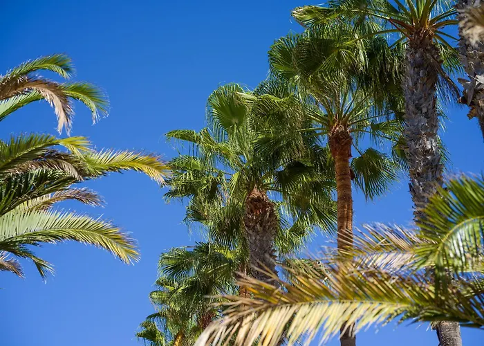 Casa Tindaya - 3 Min Walk To The Casa vacanze *